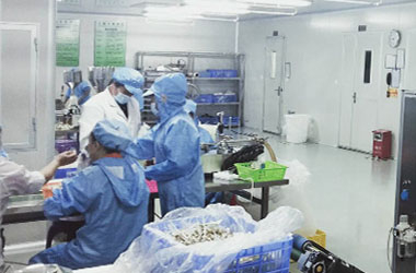 卓越研發(fā)團隊